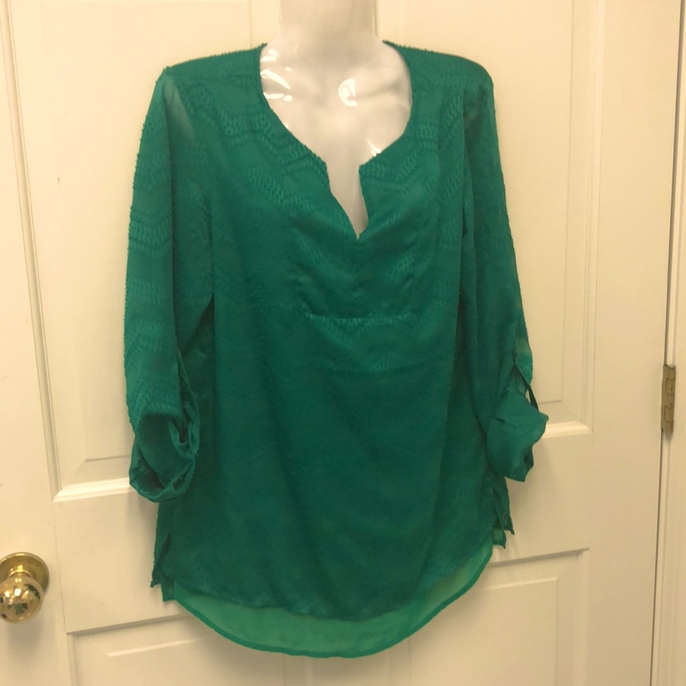 The limited Blouse